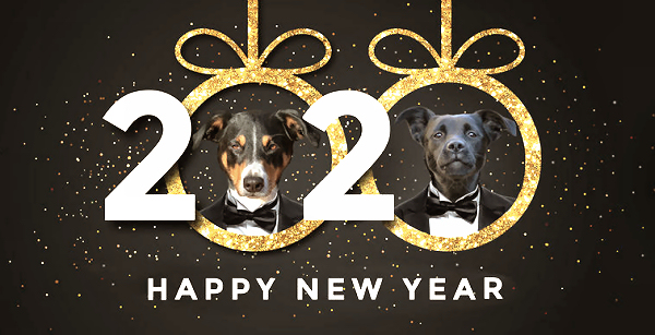 Happy New Year 2020