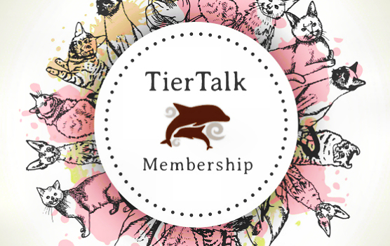 TierTalk Club