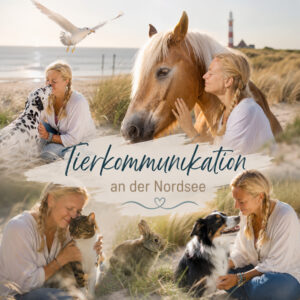 VorOrt Basisseminar Tierkommunikation an der Nordsee