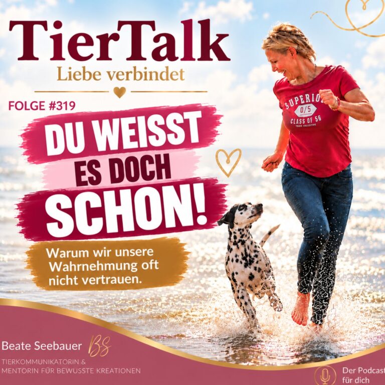 319 . Du Hast Die Antwort Aber Veränderst Du WAS?